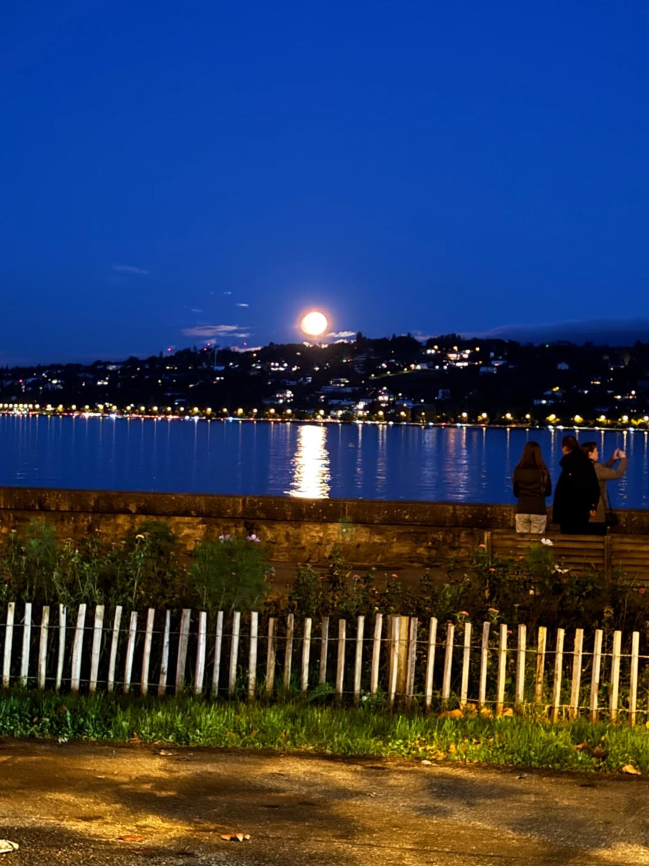 Amazing location Geneva , Eauv-Vives