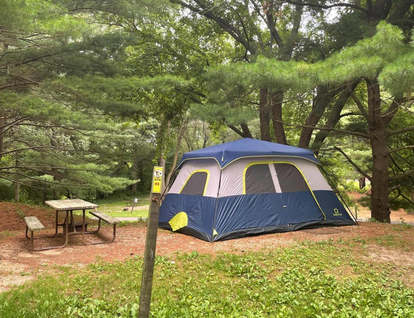 Yogi Bear's Jellystone Park Camp-Resort Wisconsin Dells