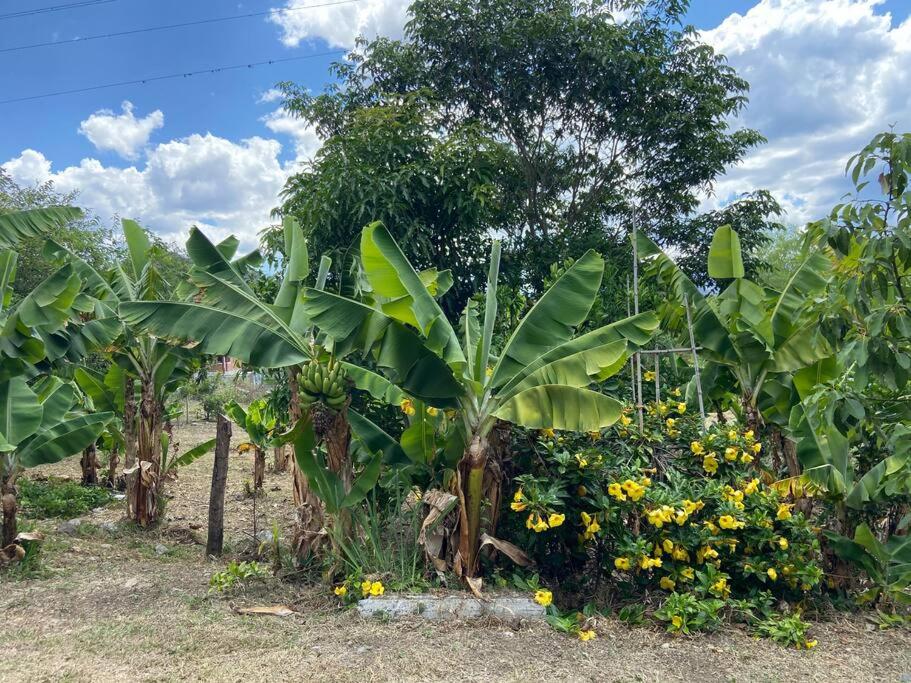 Casa vacacional Bugambillas
