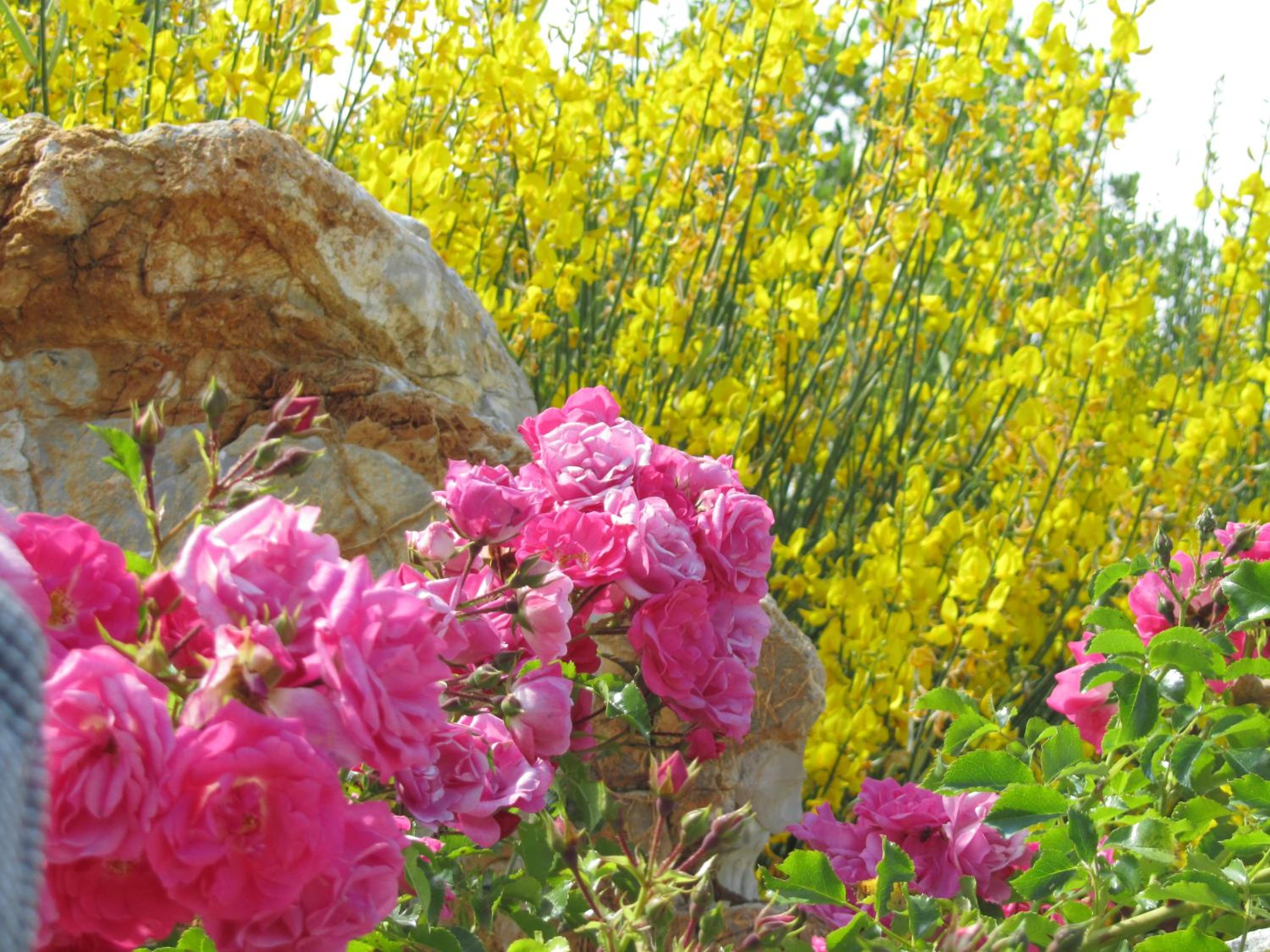 Agriturismo Borghetto Il Montino