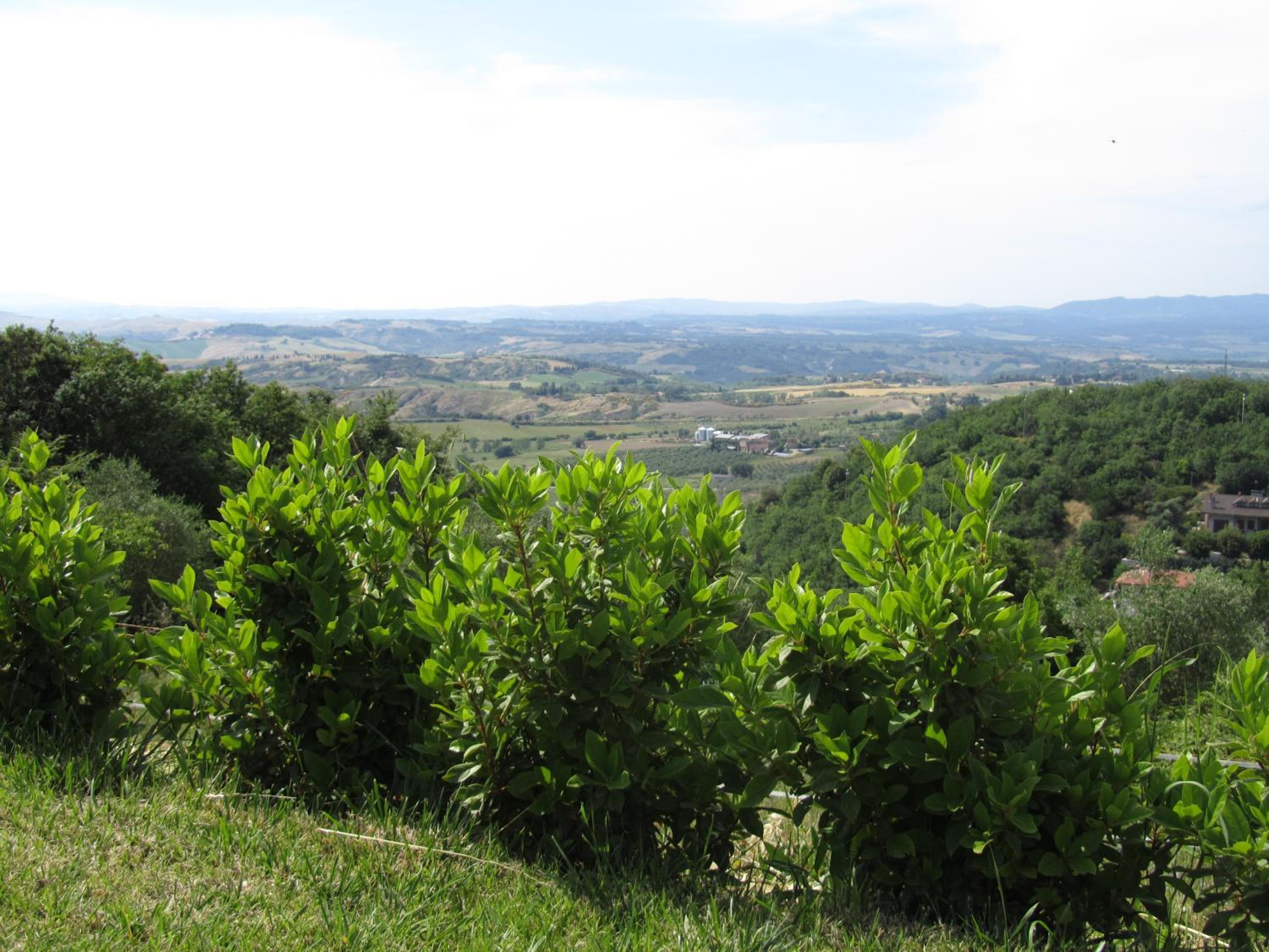 Agriturismo Borghetto Il Montino