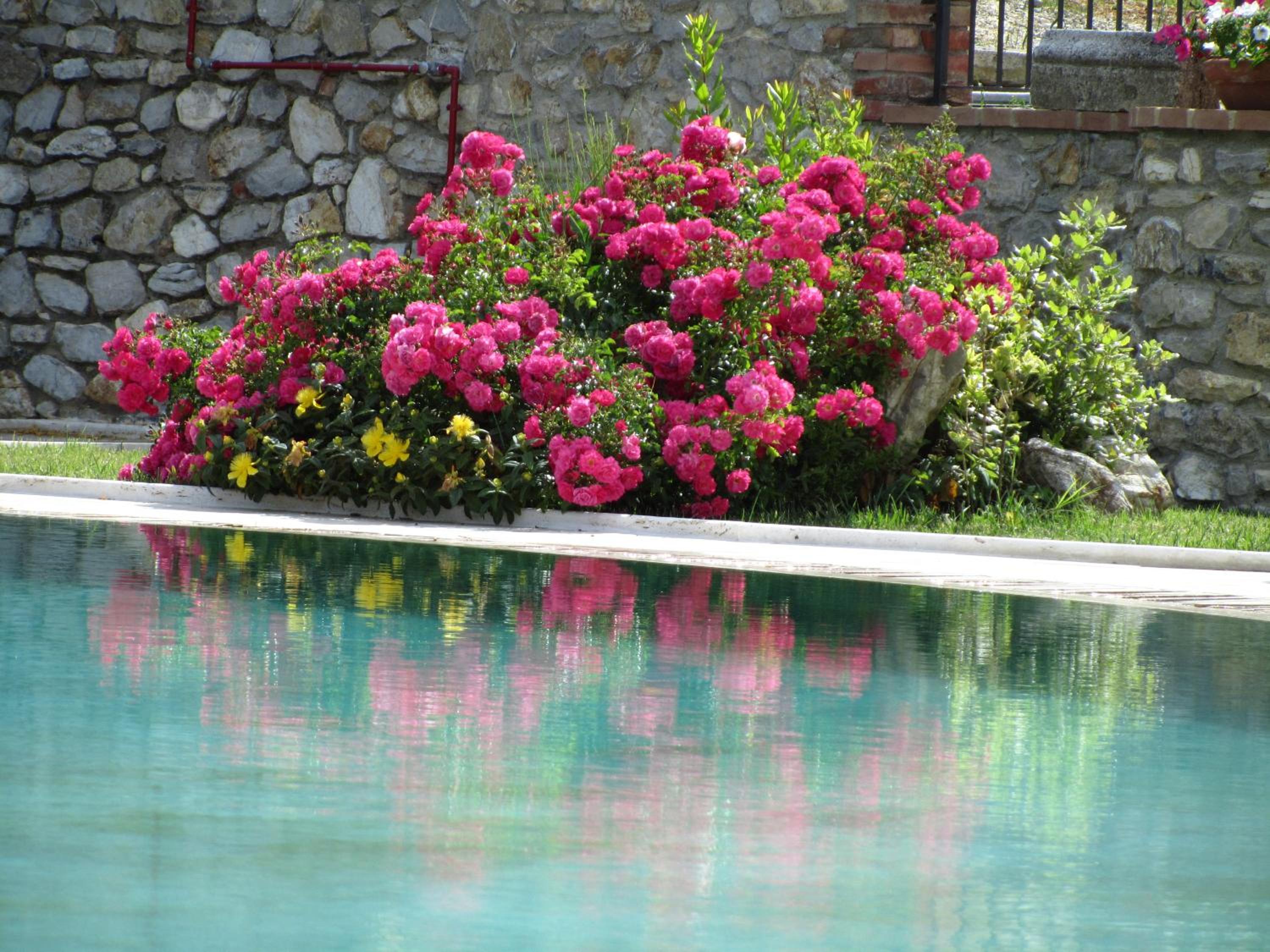 Agriturismo Borghetto Il Montino