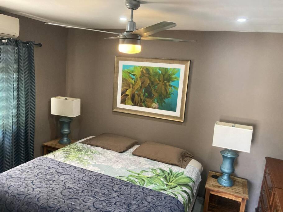 Palm Beach, Cozy Modern Apt, 15 min walk to Ocean!