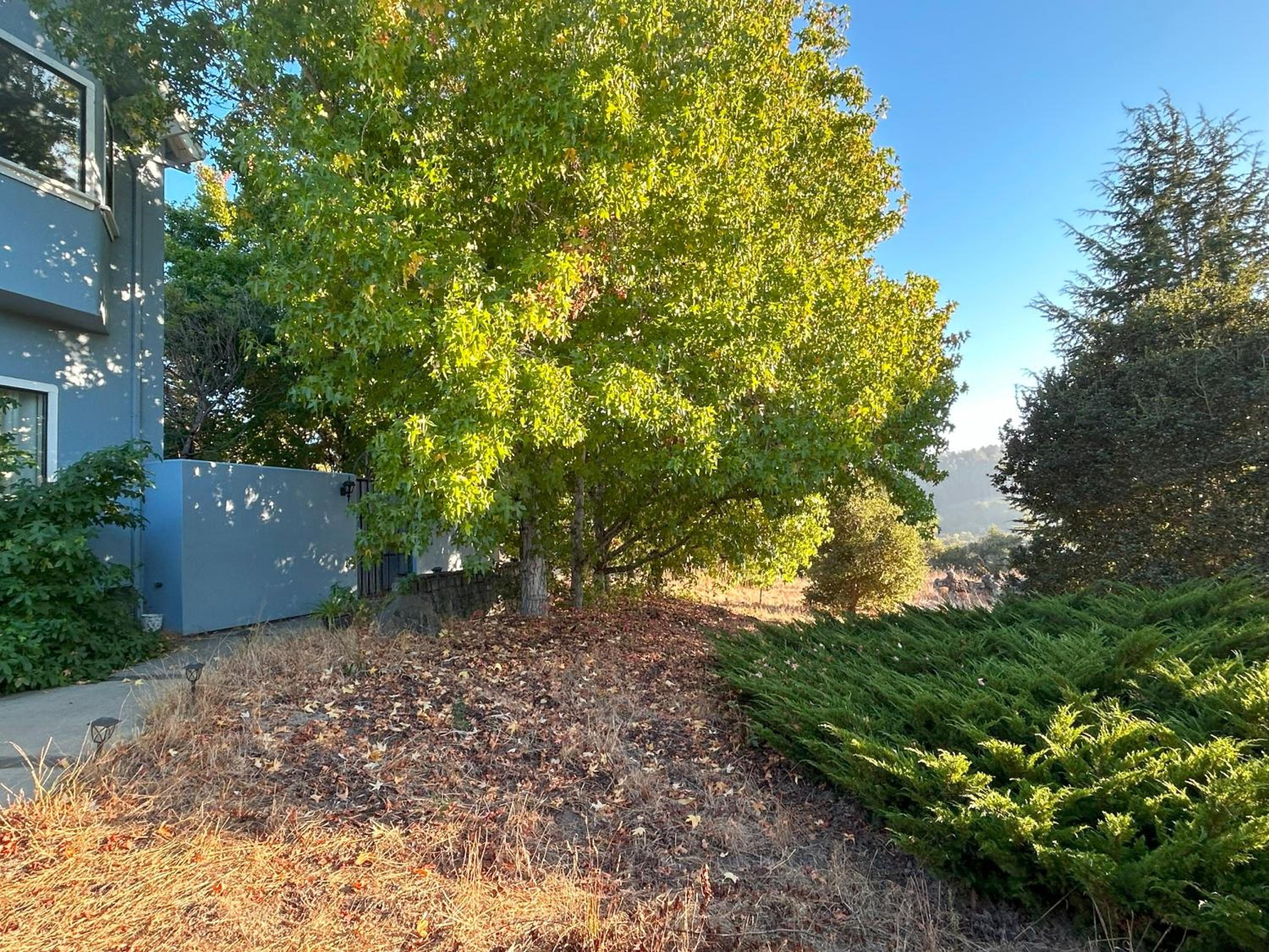 El Cerro - Property Image 5