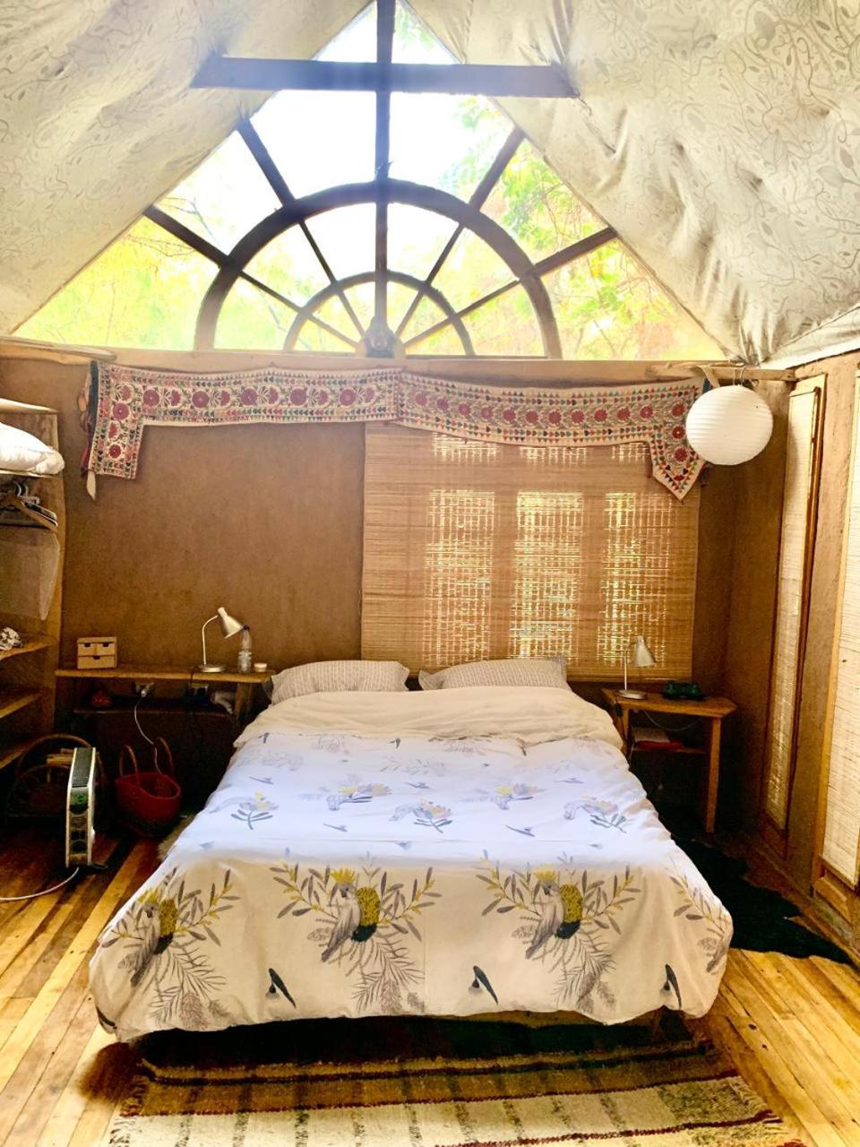 La Casa entre los Árboles en el Valle de Elqui Montegrande
