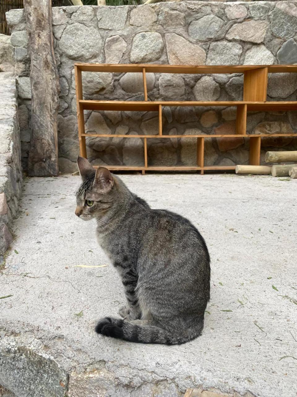 La Casa entre los Árboles en el Valle de Elqui Montegrande