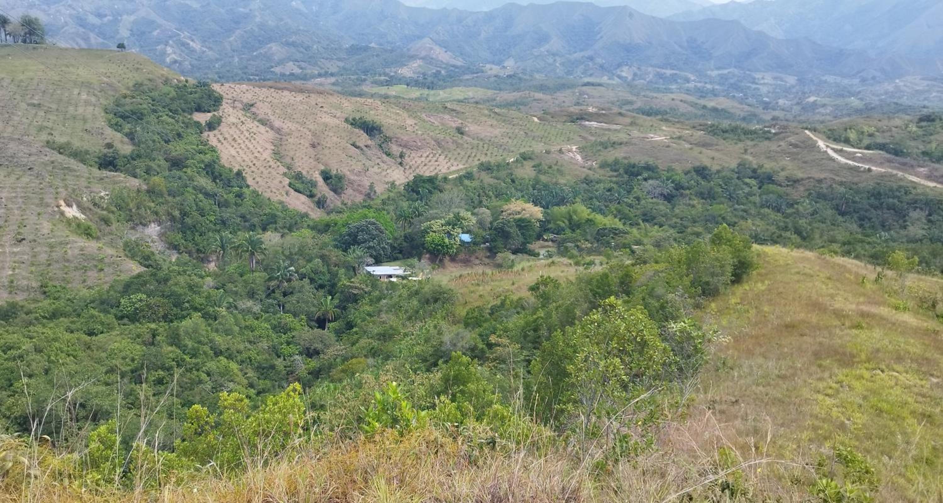 Birding Colombia Lodge cerca a Ibagué