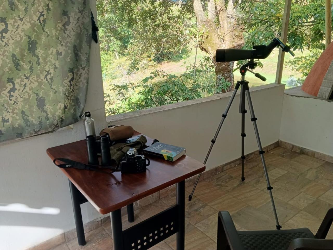 Birding Colombia Lodge cerca a Ibagué