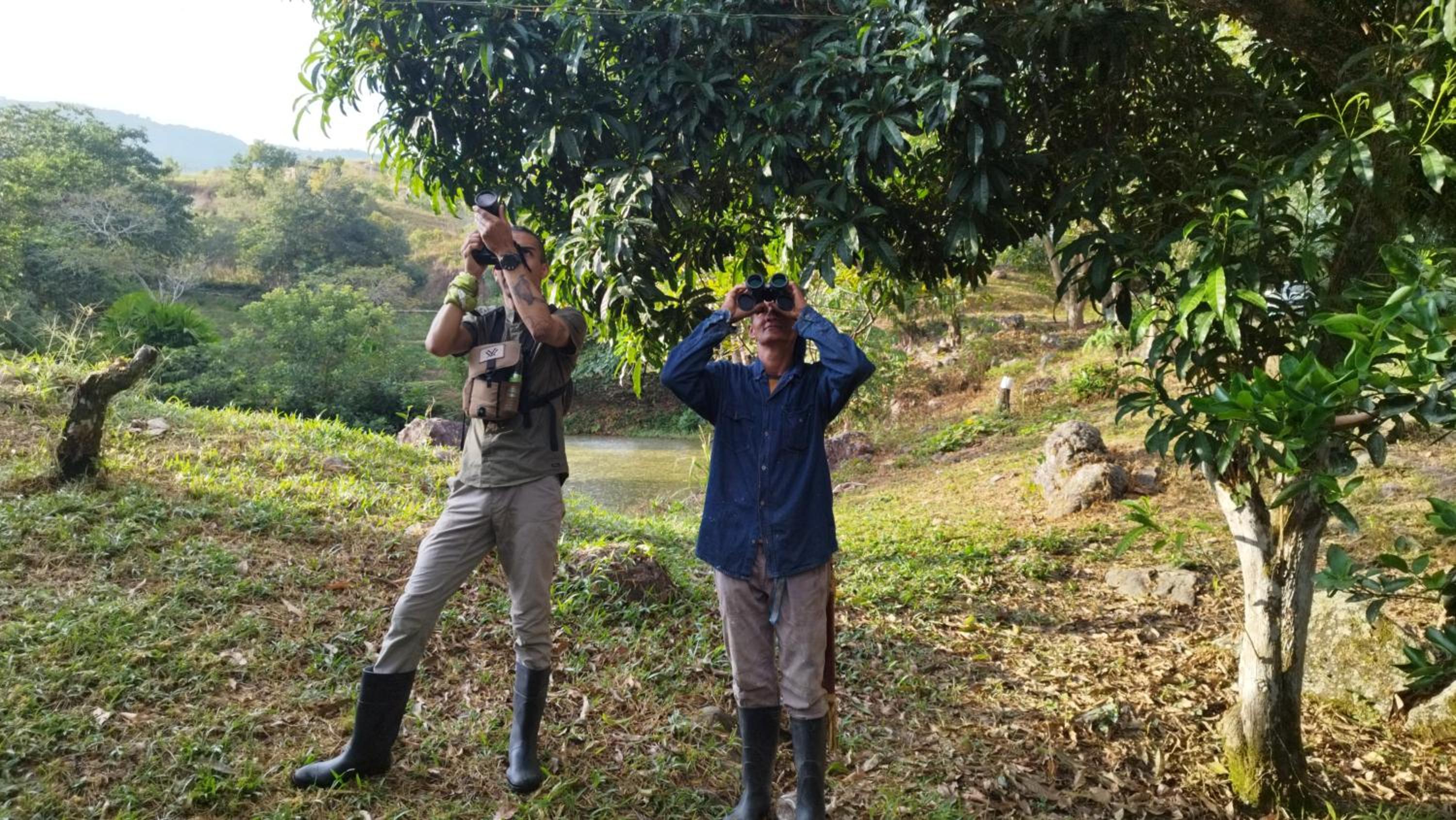 Birding Colombia Lodge cerca a Ibagué