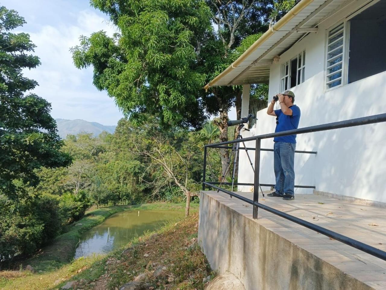 Birding Colombia Lodge cerca a Ibagué