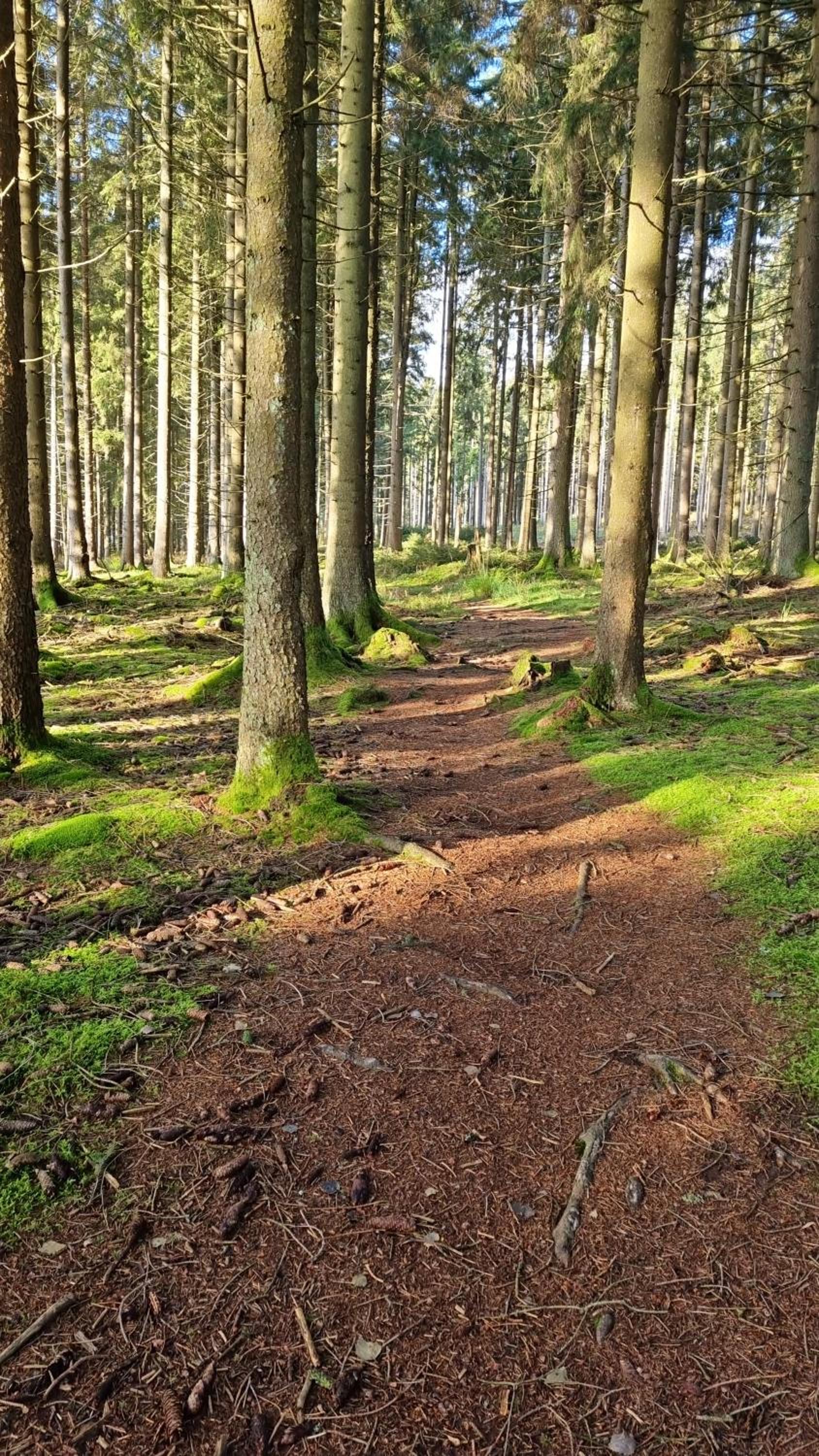 Rustikale Wanderhütte am Angelteich
