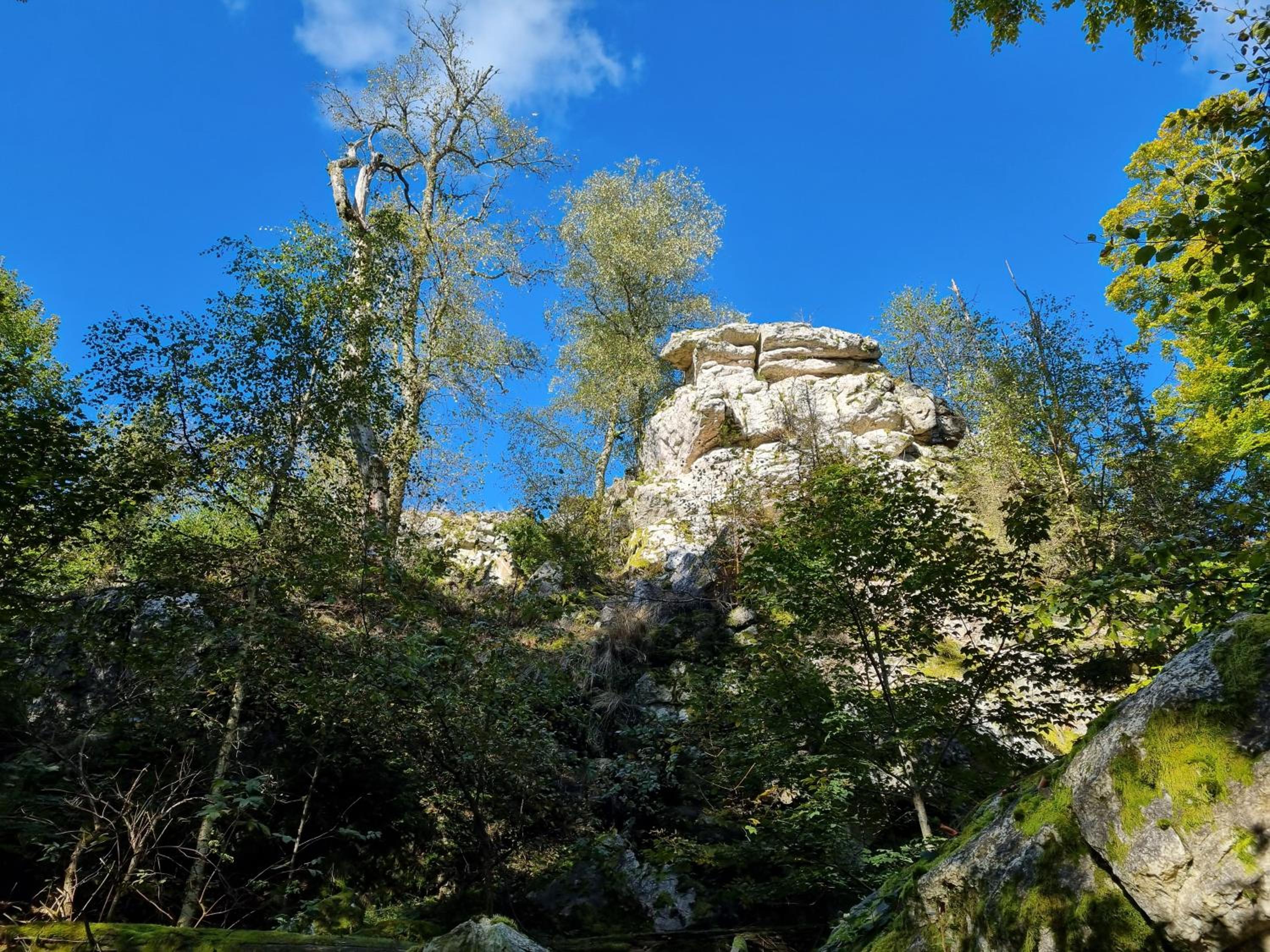 Rustikale Wanderhütte am Angelteich