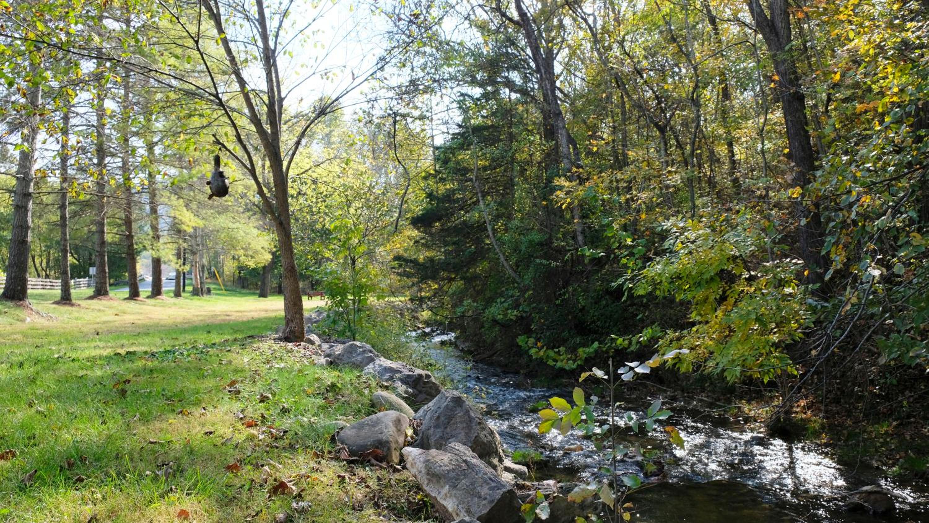 Photo 39