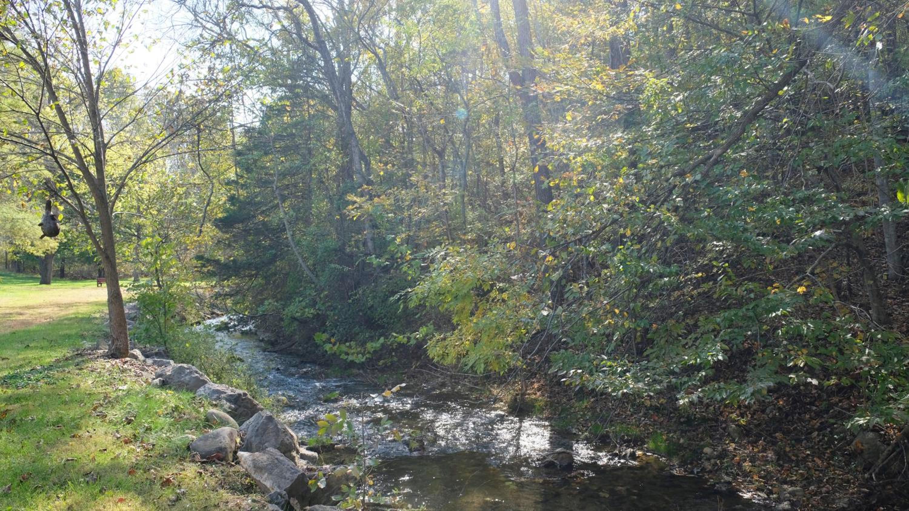 Photo 41