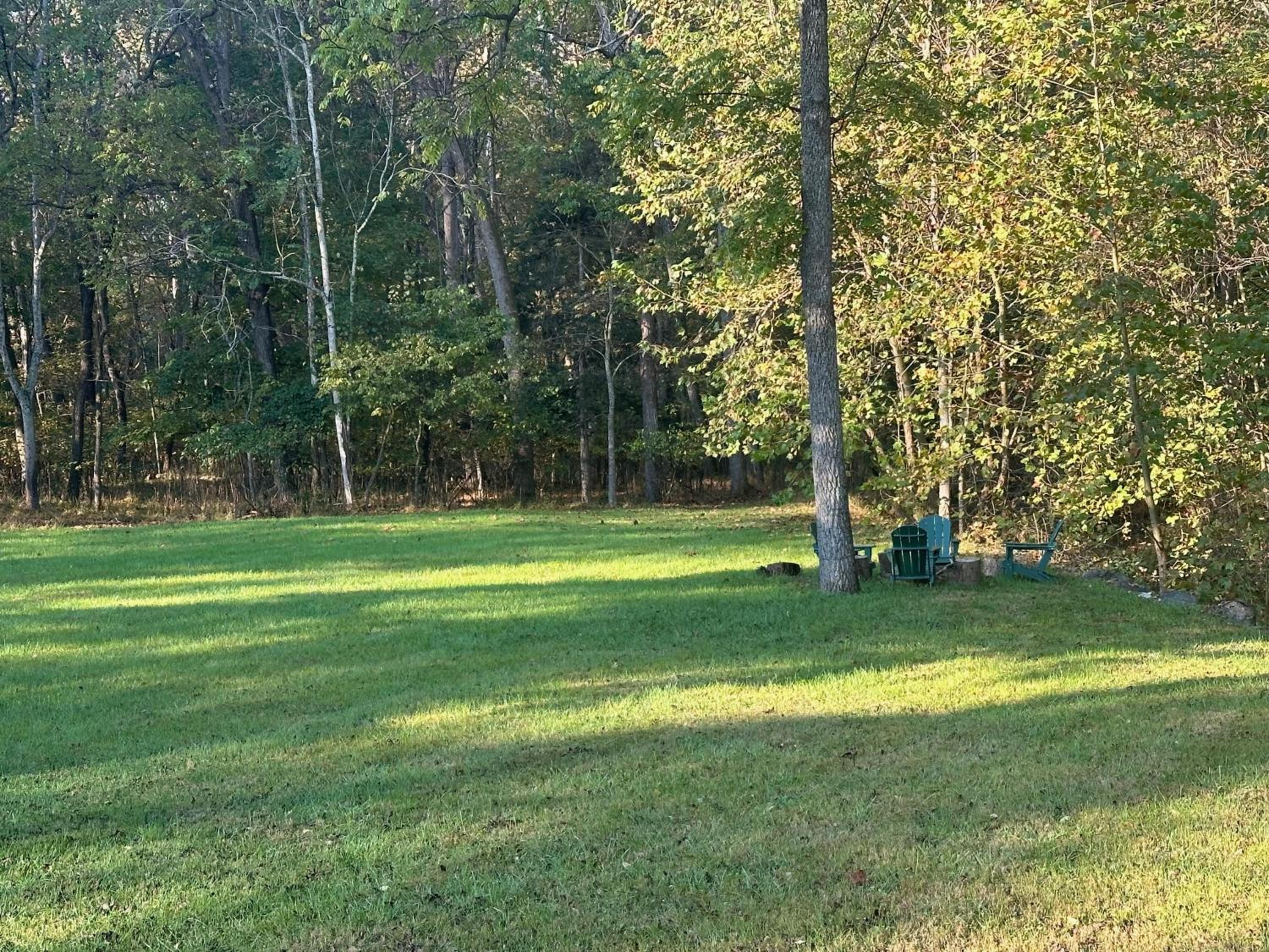Photo 47