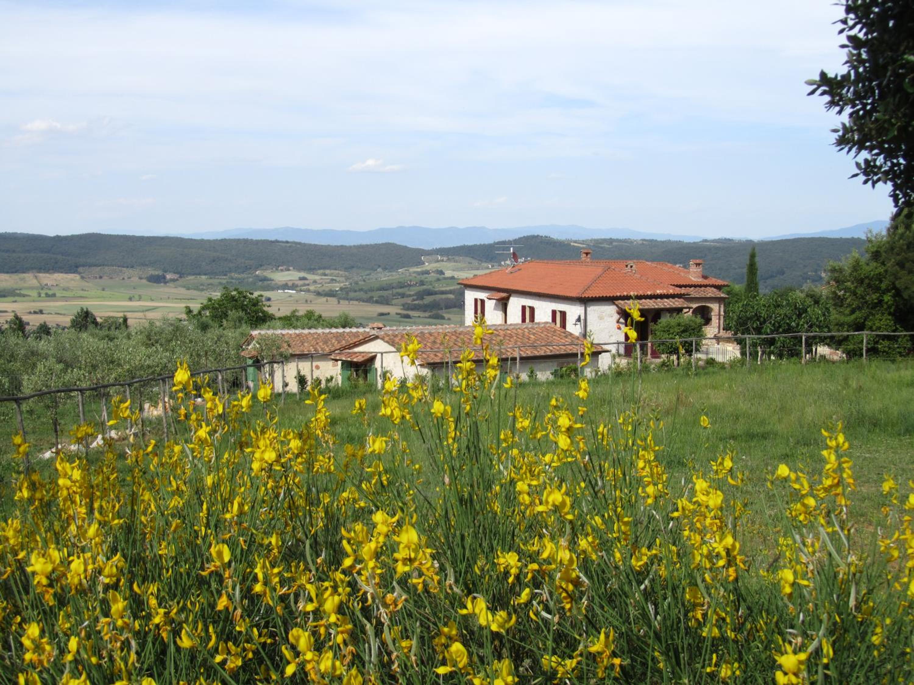 Agriturismo Borghetto Il Montino