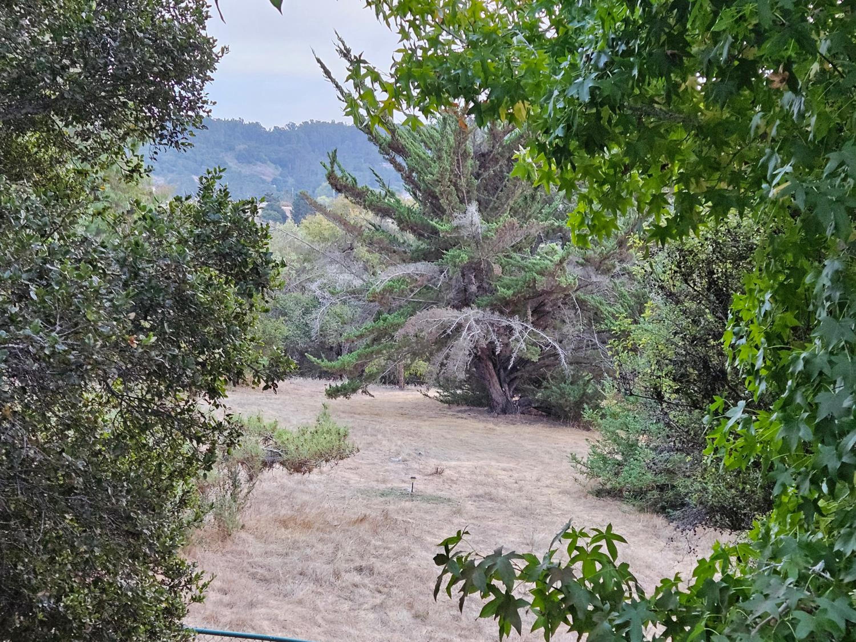 El Cerro - Property Image 3