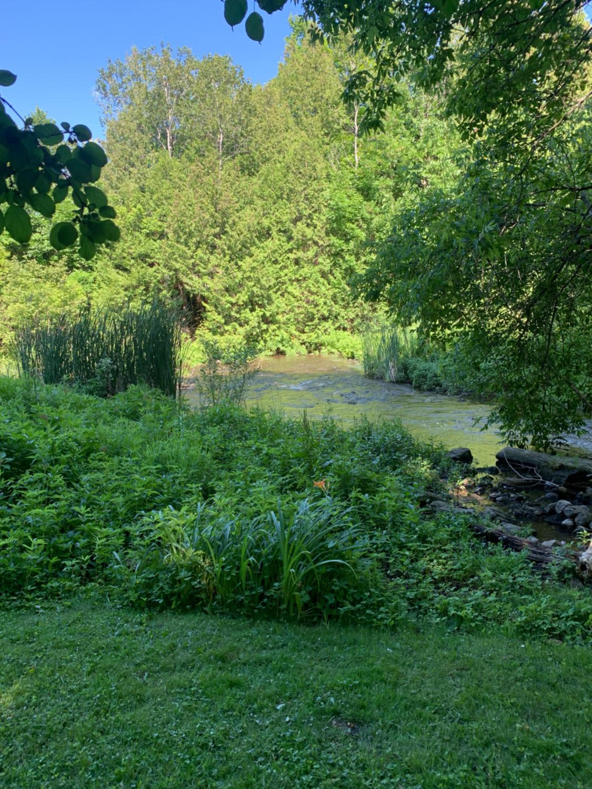 Cozy Riverside Cottage in Caledon Alton