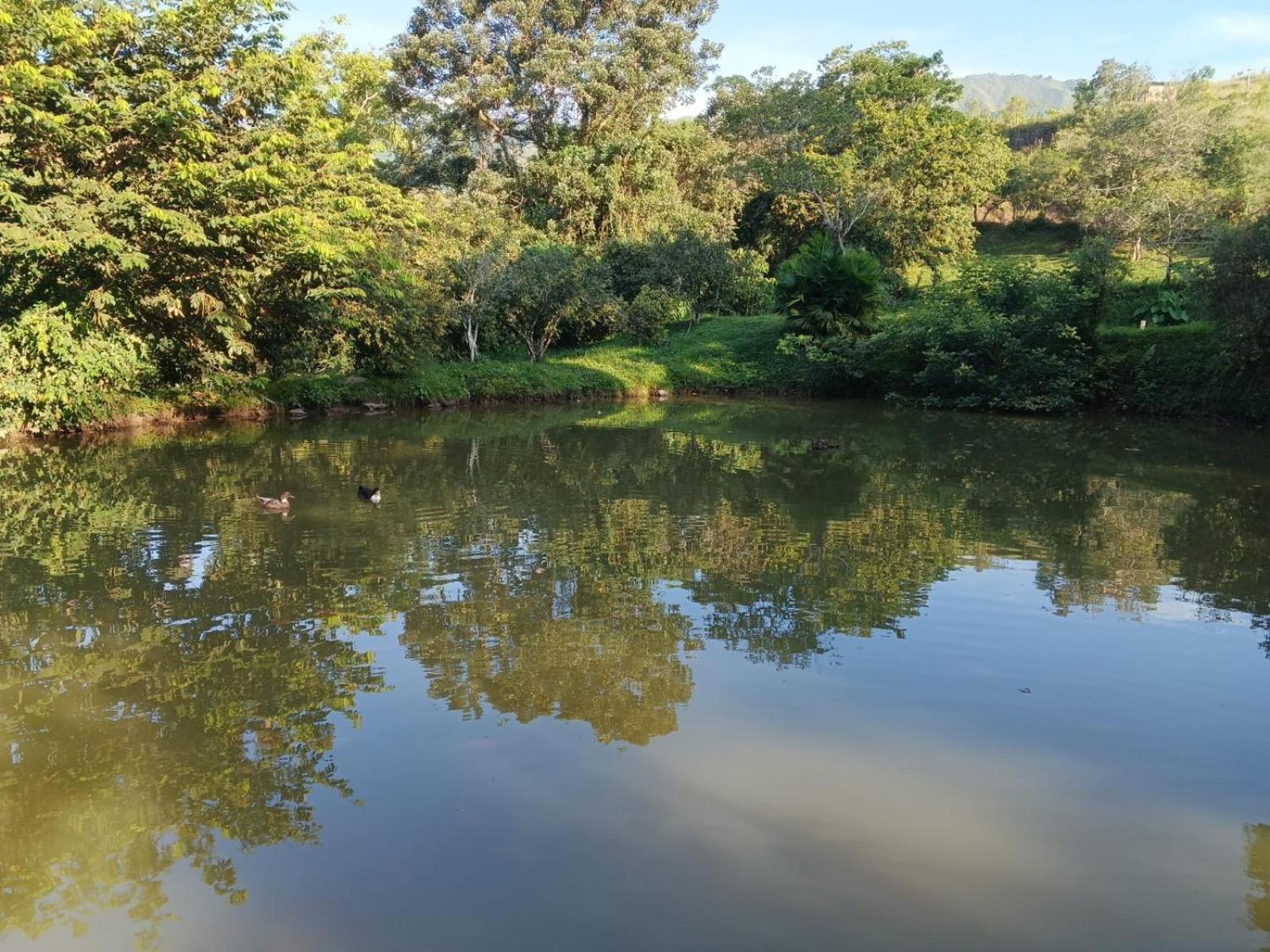 Birding Colombia Lodge cerca a Ibagué