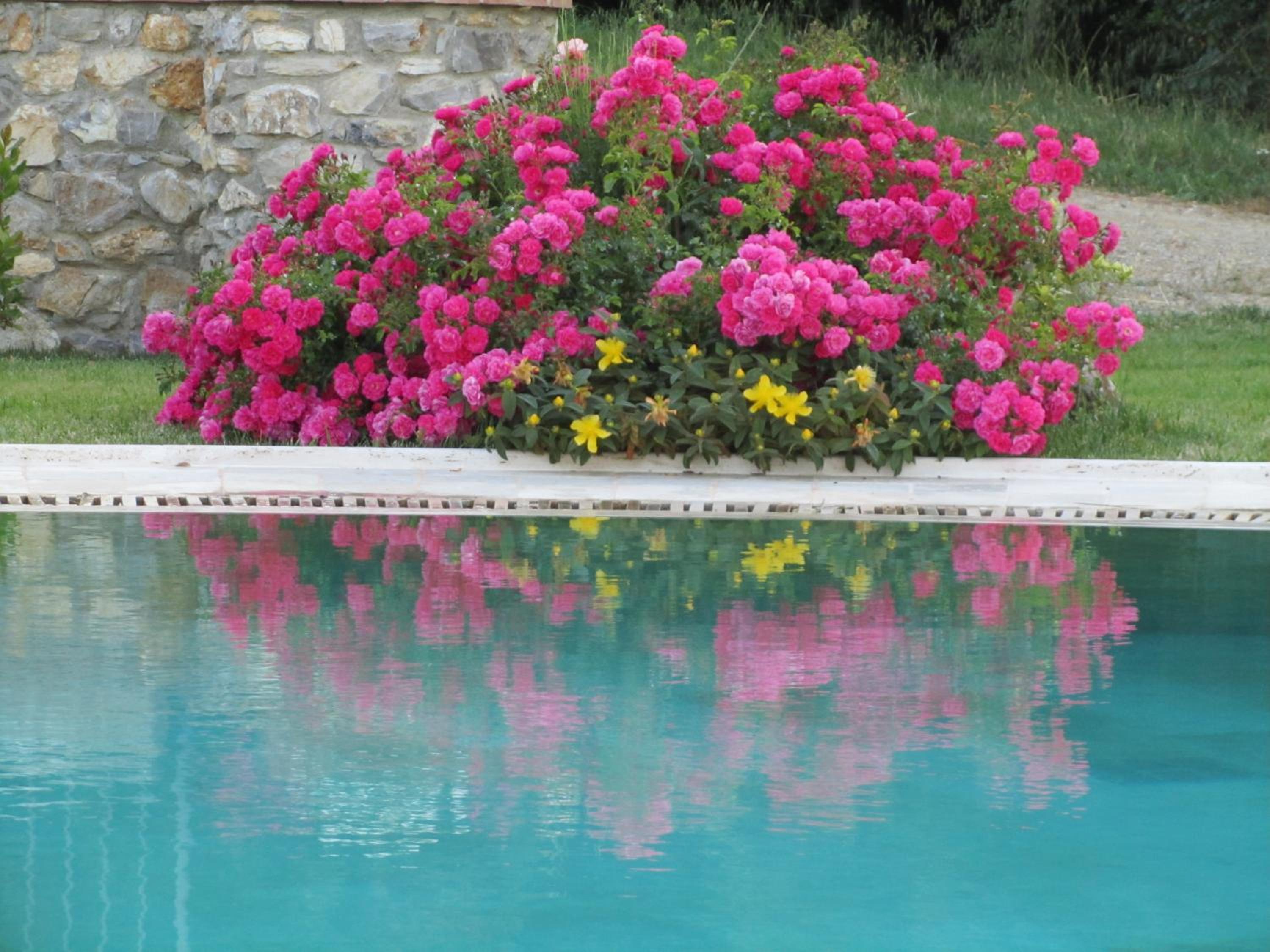 Agriturismo Borghetto Il Montino
