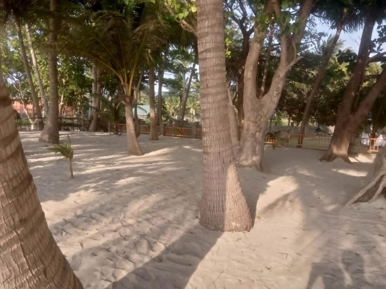 Photo 25