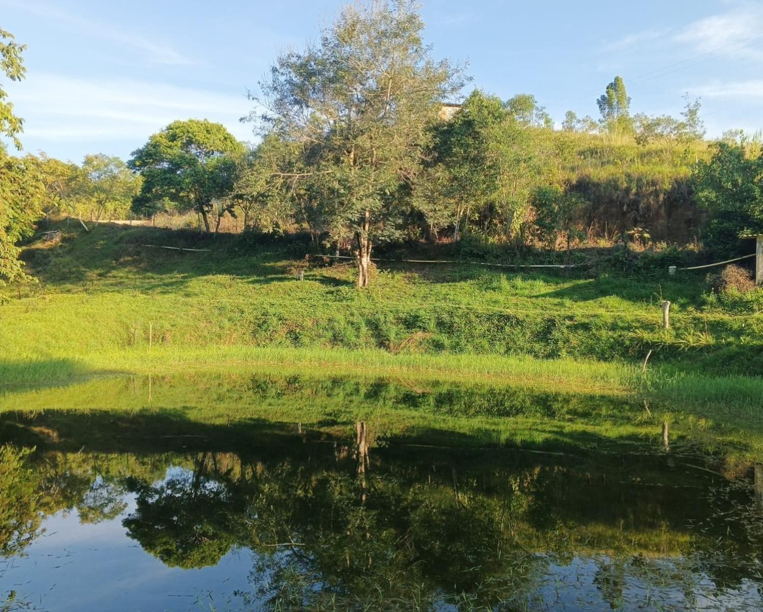 Birding Colombia Lodge cerca a Ibagué