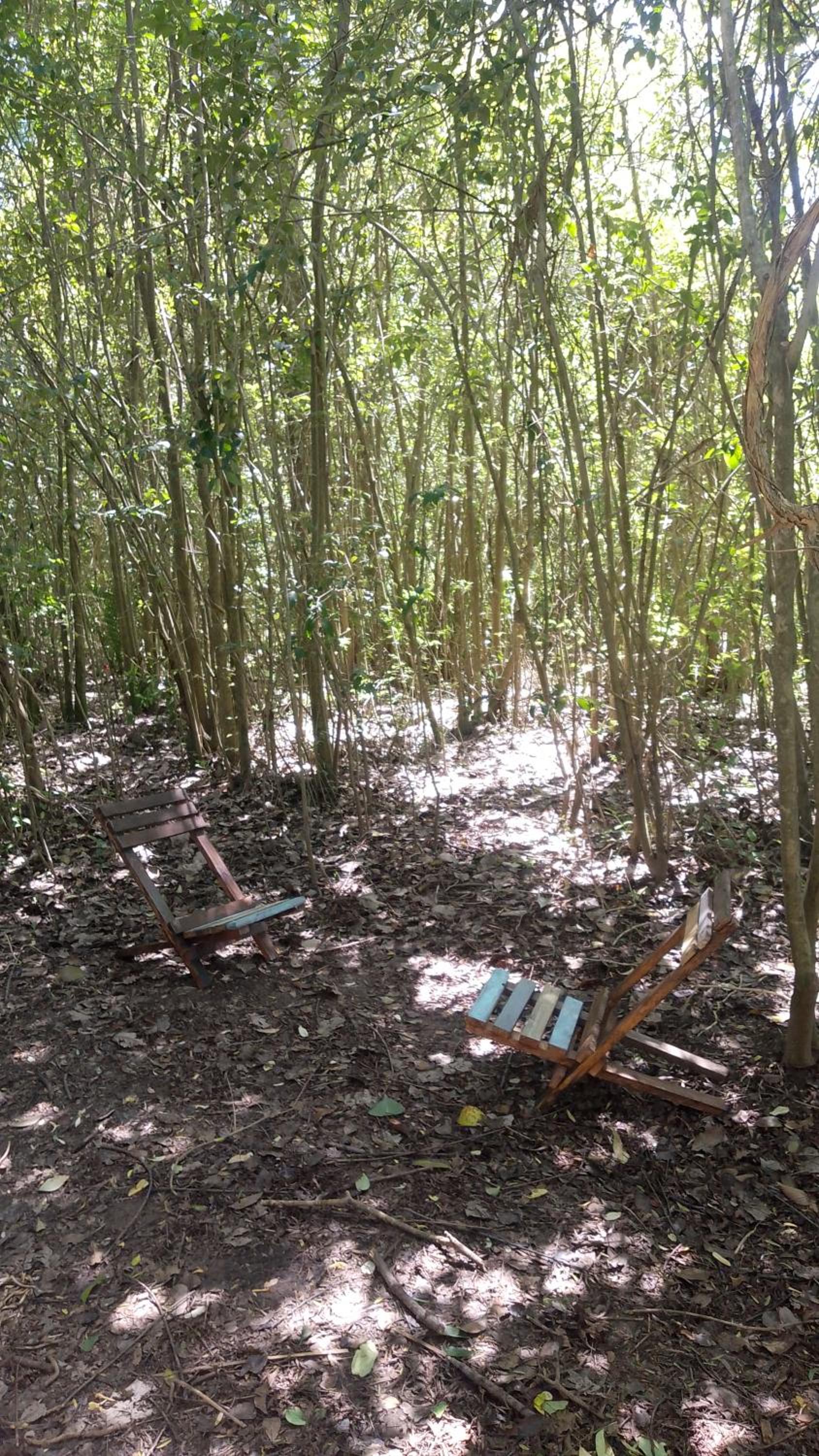 Espacio Las Abejas Cabaña El Sauce Refugio isleño