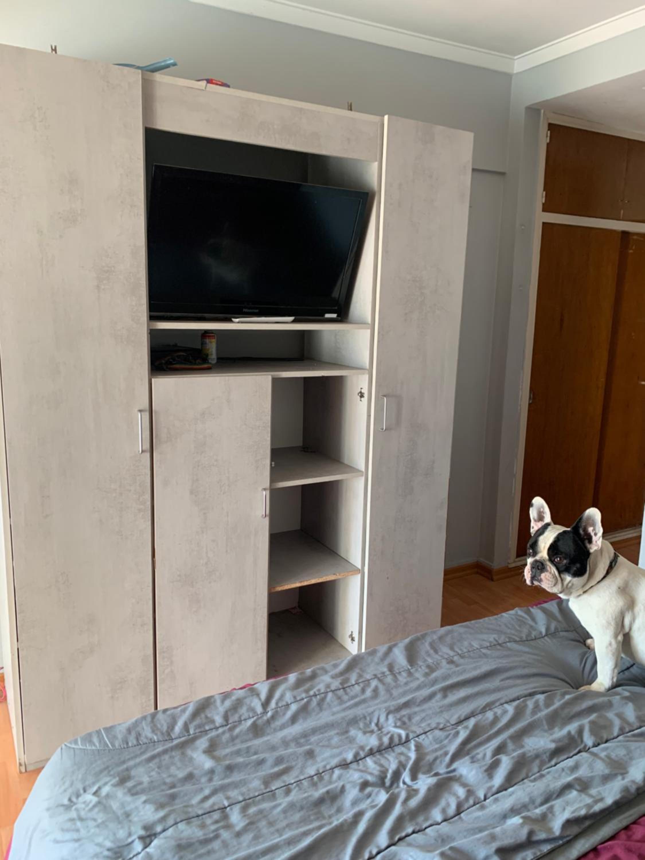 Deptos con mascotas