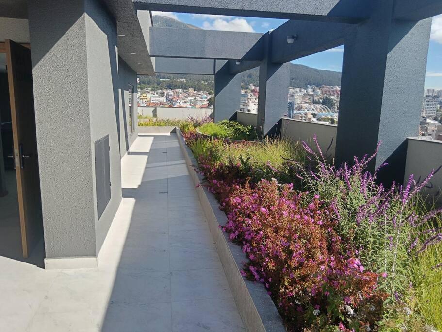 Extraordinario Estudio, Ubicación Perfecta
