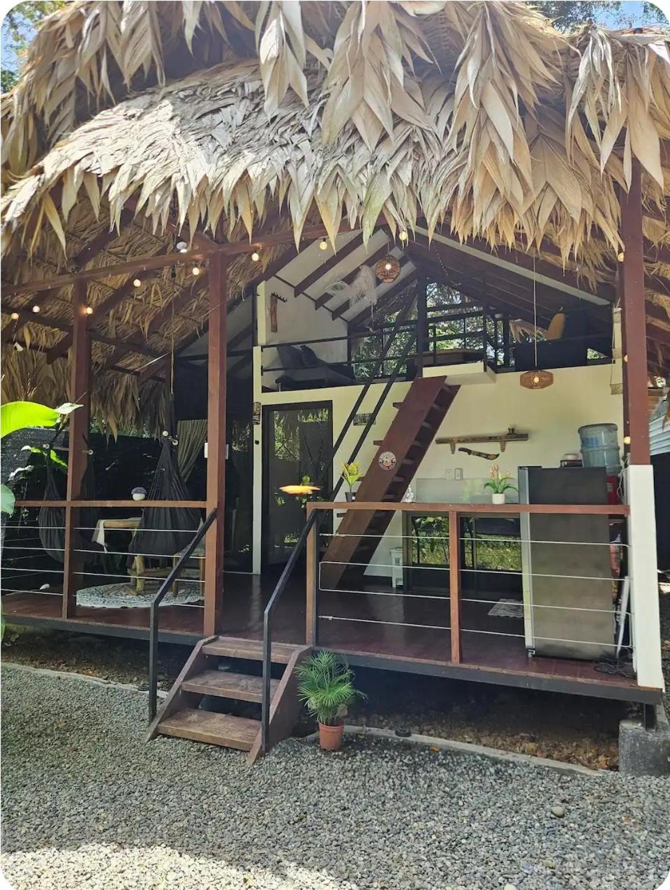 Evolution House Jungle Oasis