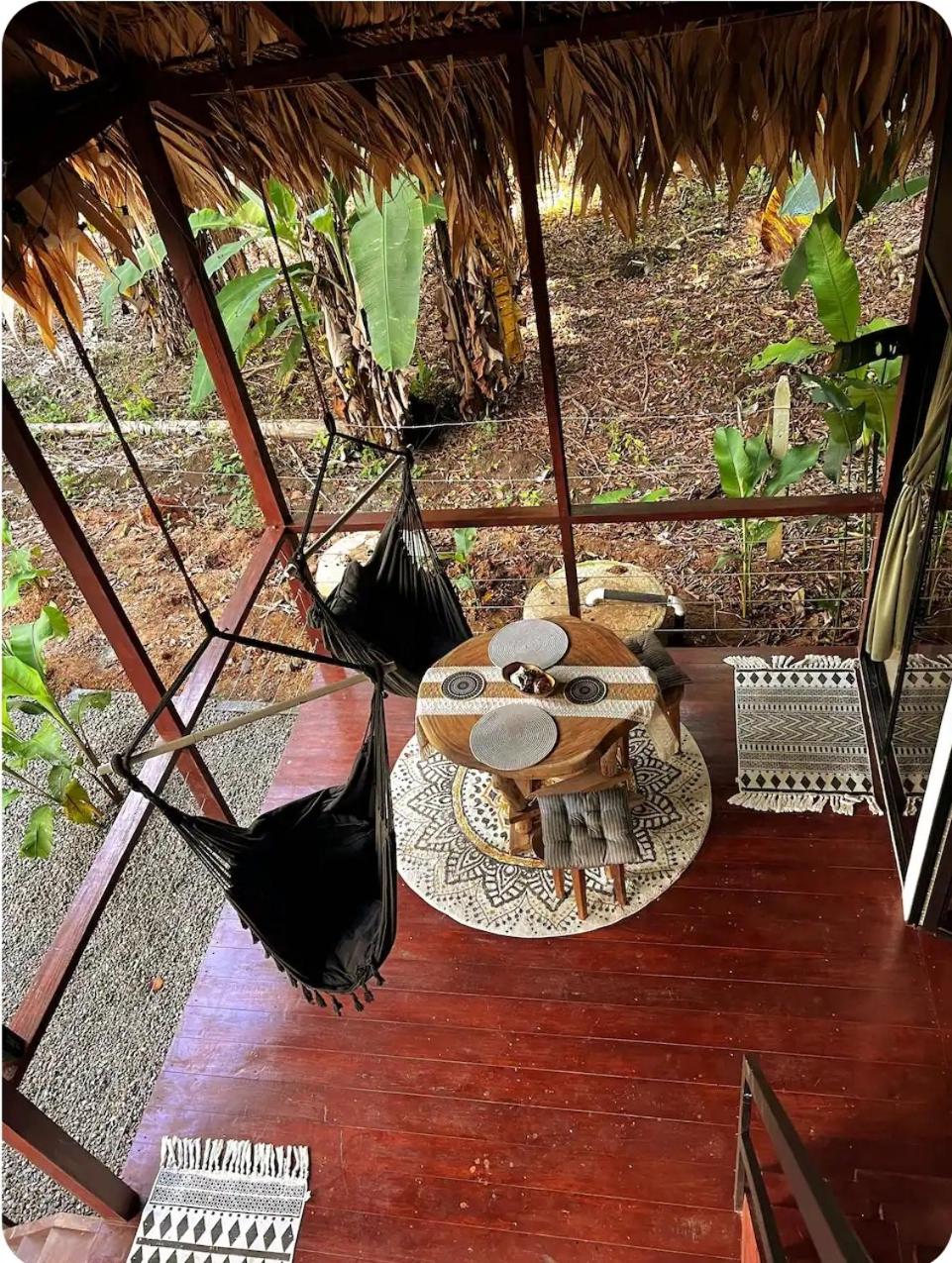 Evolution House Jungle Oasis