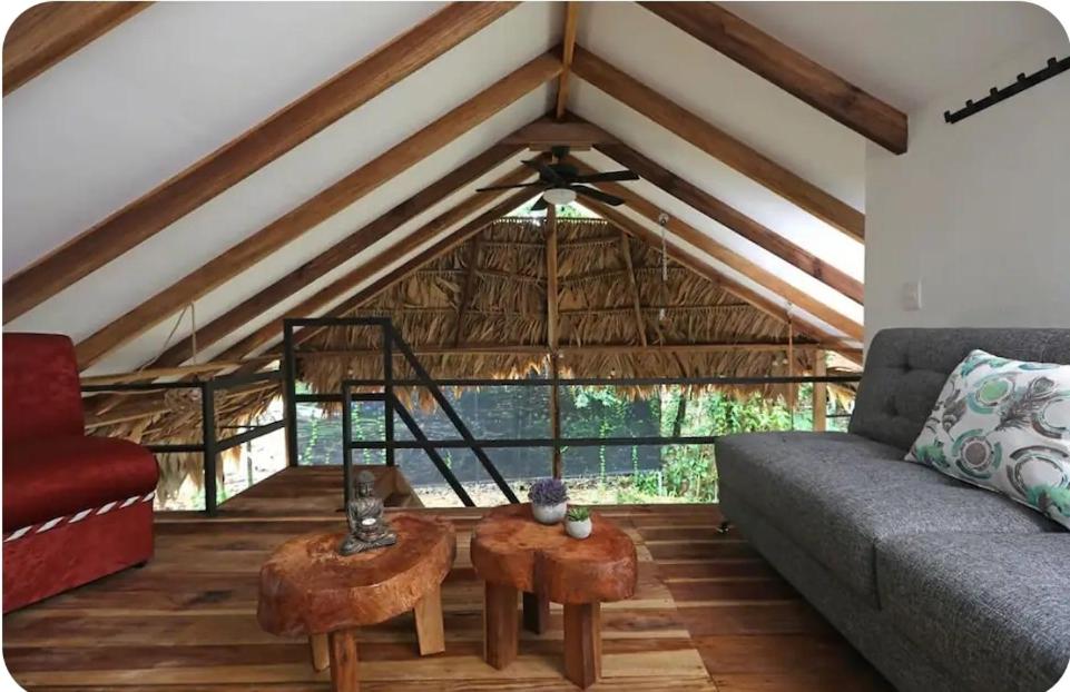Evolution House Jungle Oasis