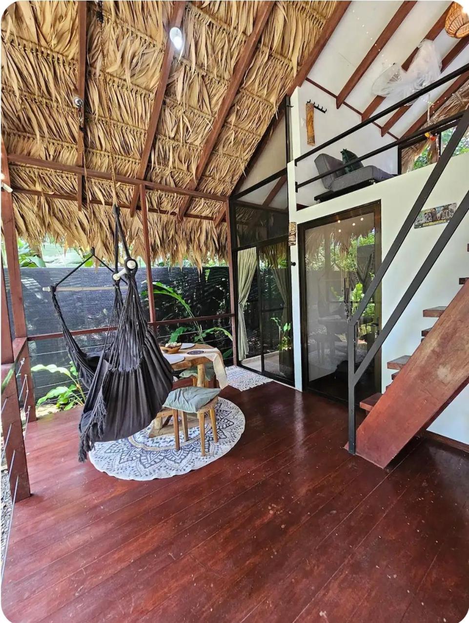 Evolution House Jungle Oasis