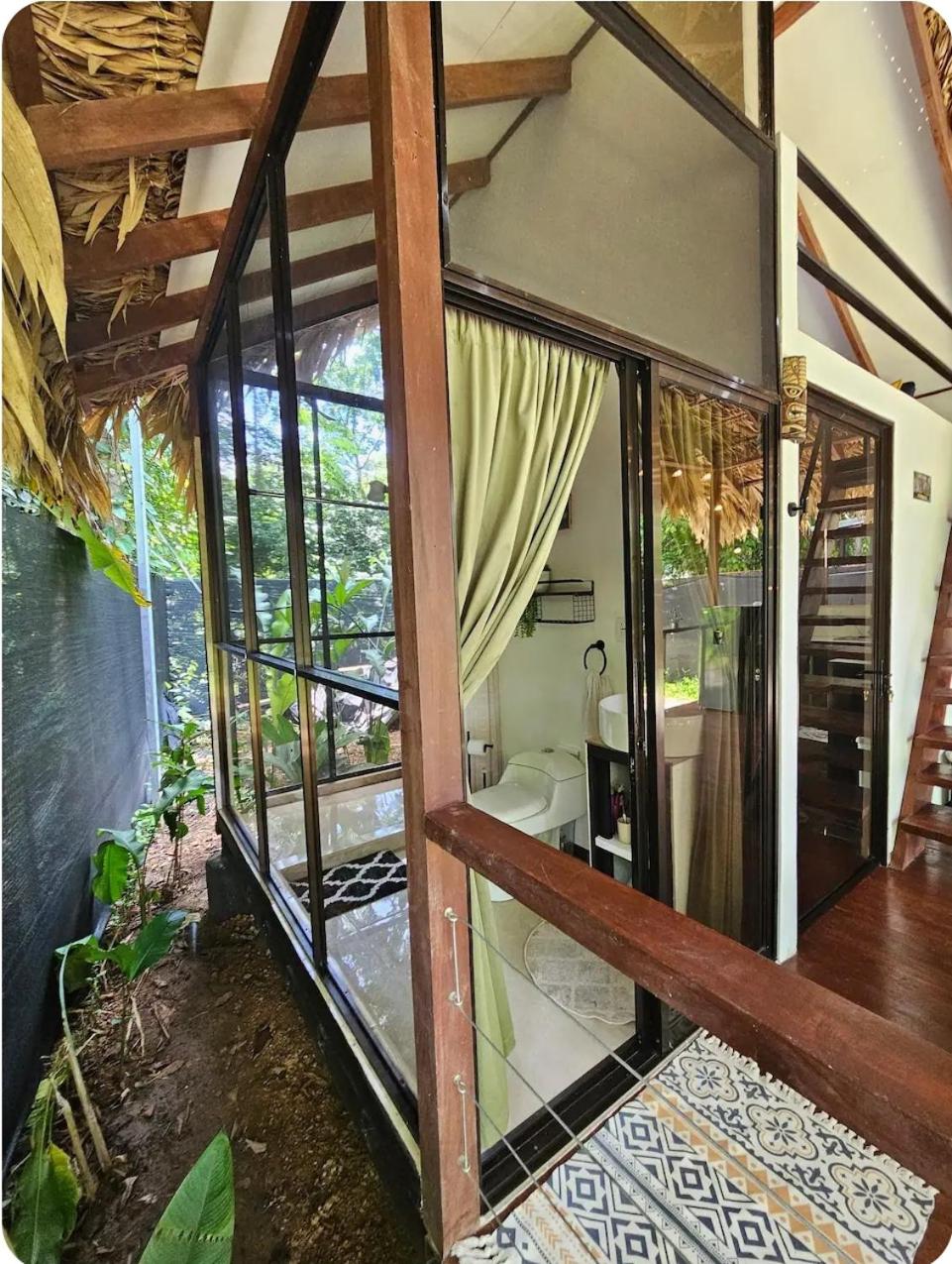 Evolution House Jungle Oasis