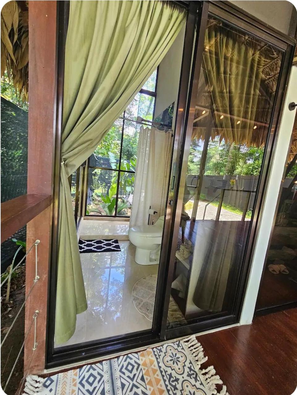 Evolution House Jungle Oasis