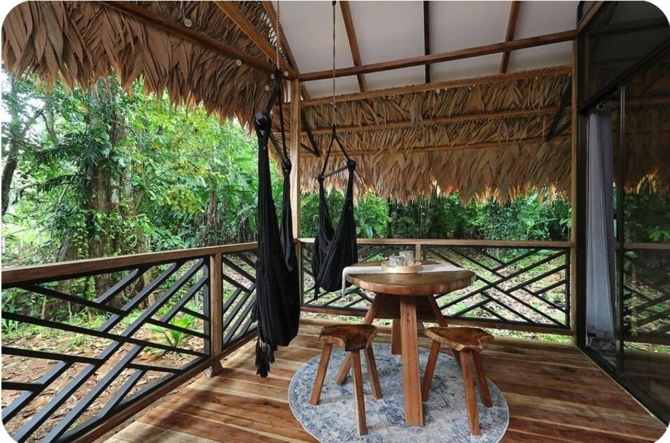 Evolution House Jungle Oasis