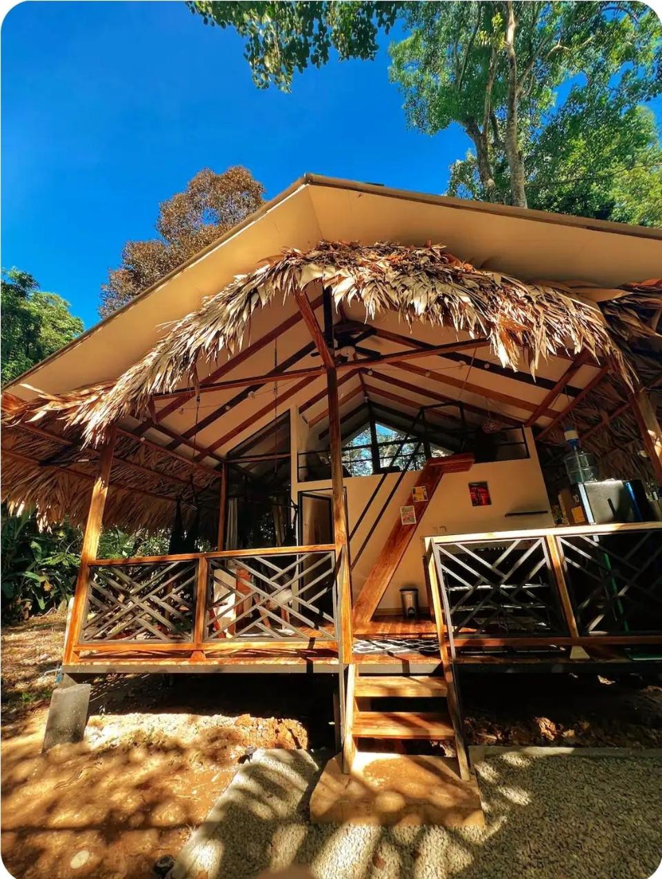 Evolution House Jungle Oasis