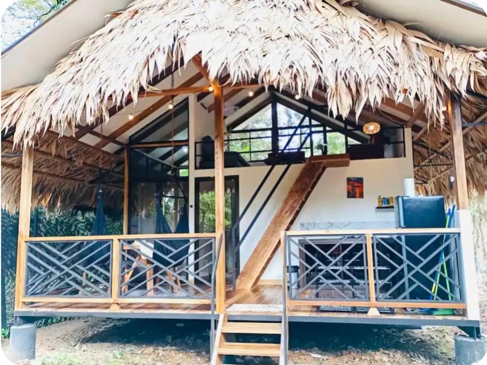 Evolution House Jungle Oasis