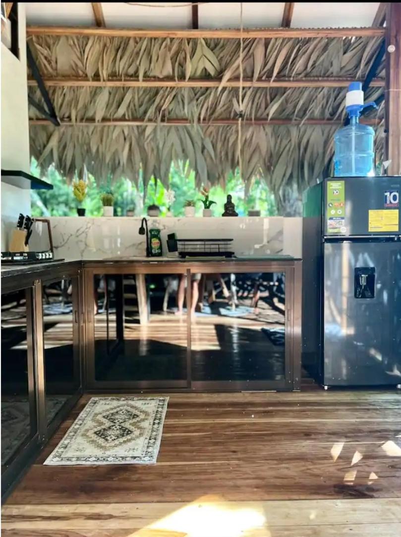 Evolution House Jungle Oasis