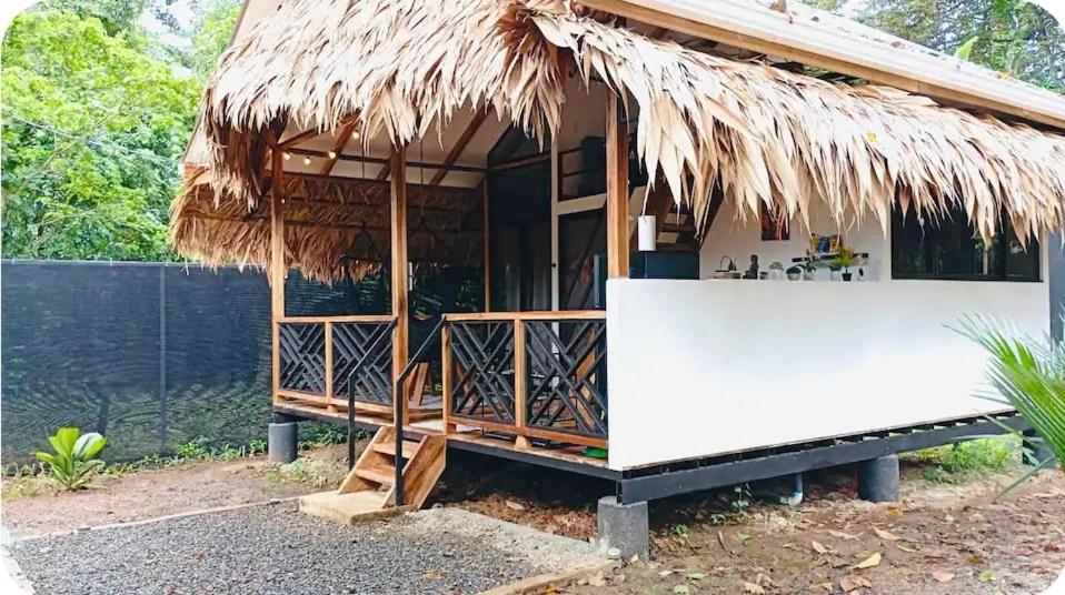 Evolution House Jungle Oasis