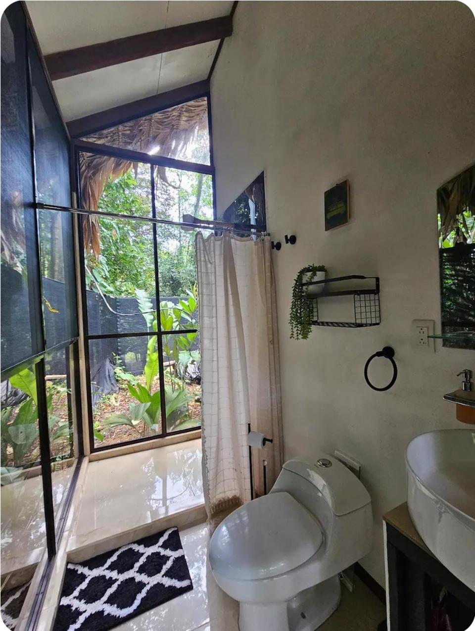 Evolution House Jungle Oasis