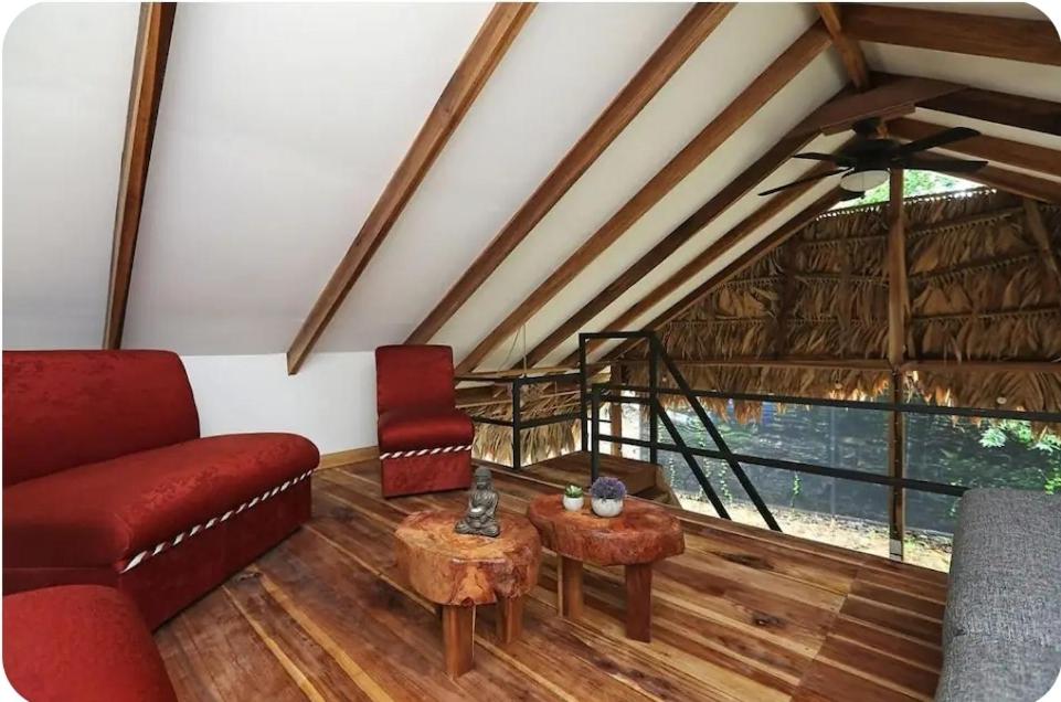 Evolution House Jungle Oasis