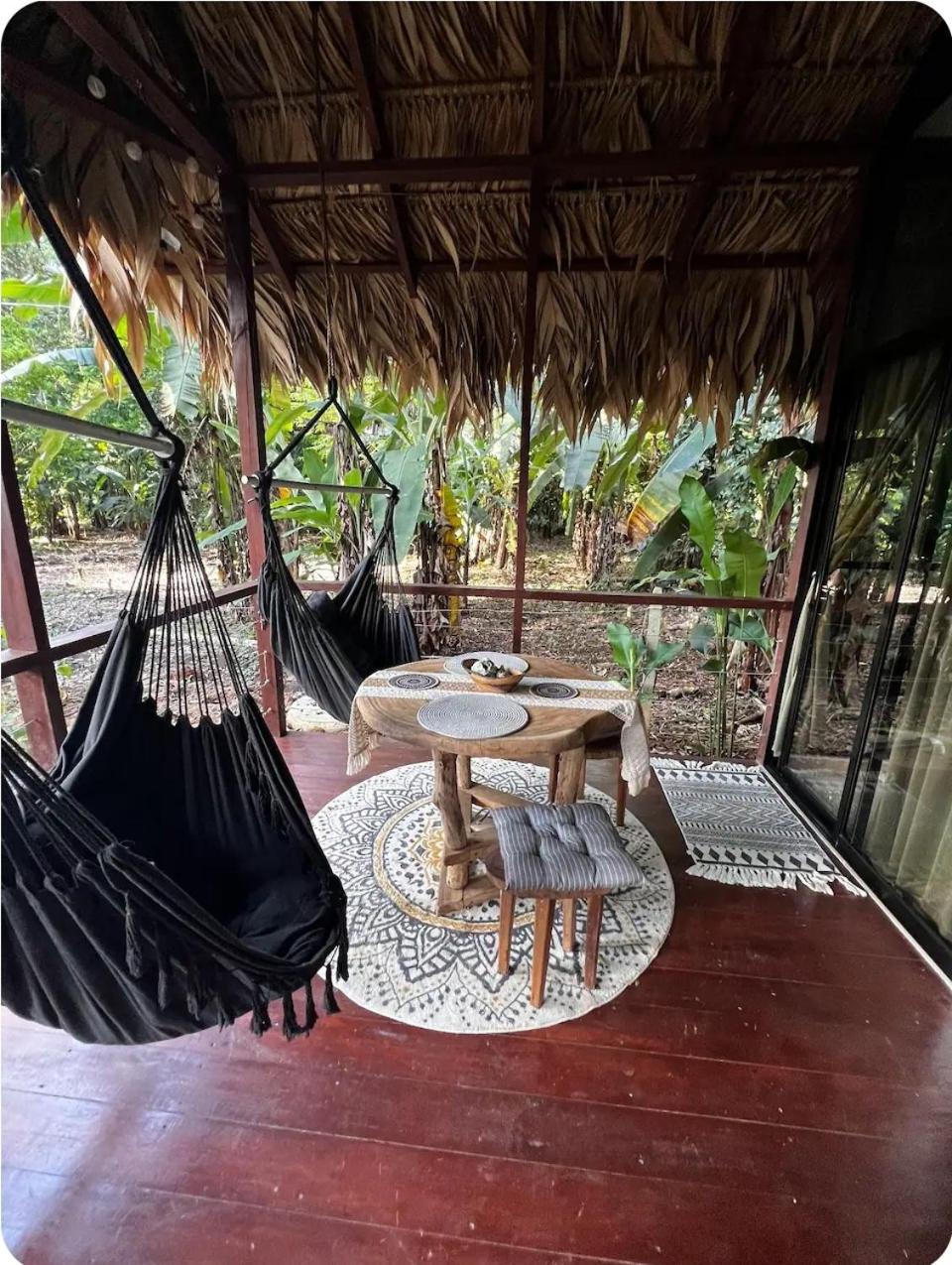 Evolution House Jungle Oasis