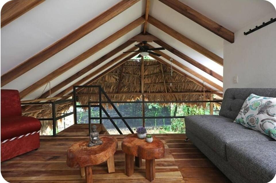 Evolution House Jungle Oasis