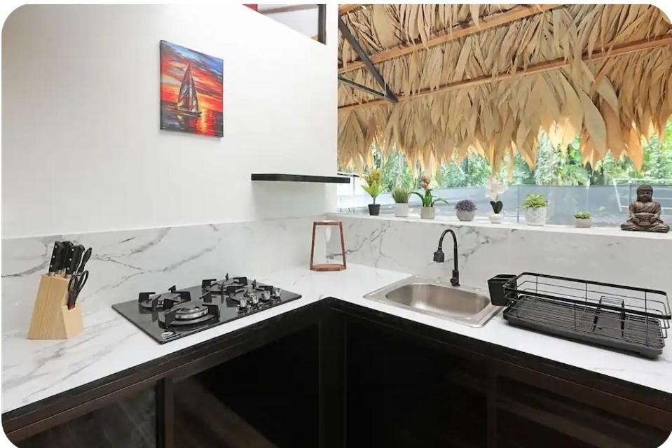 Evolution House Jungle Oasis