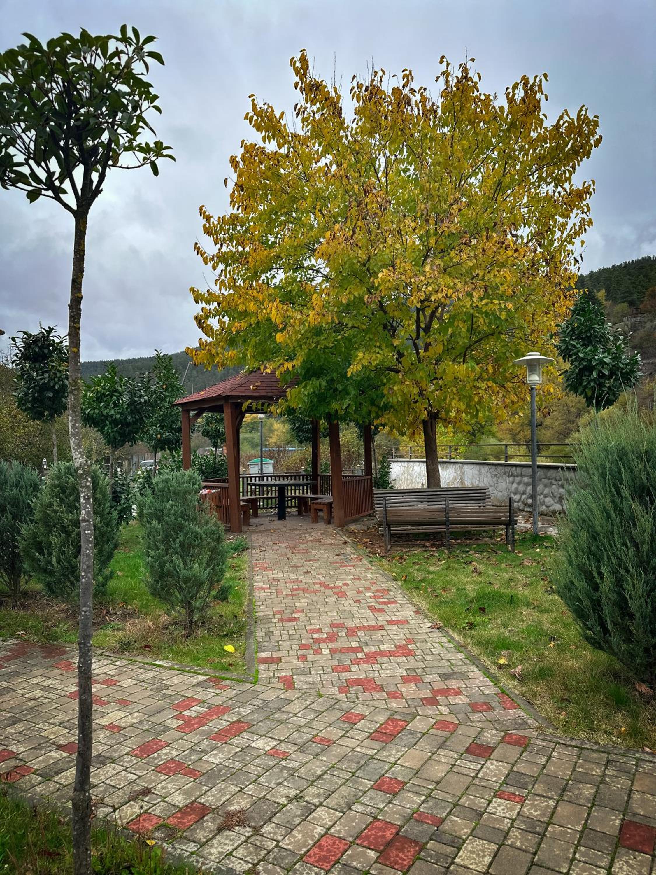 Photo 12
