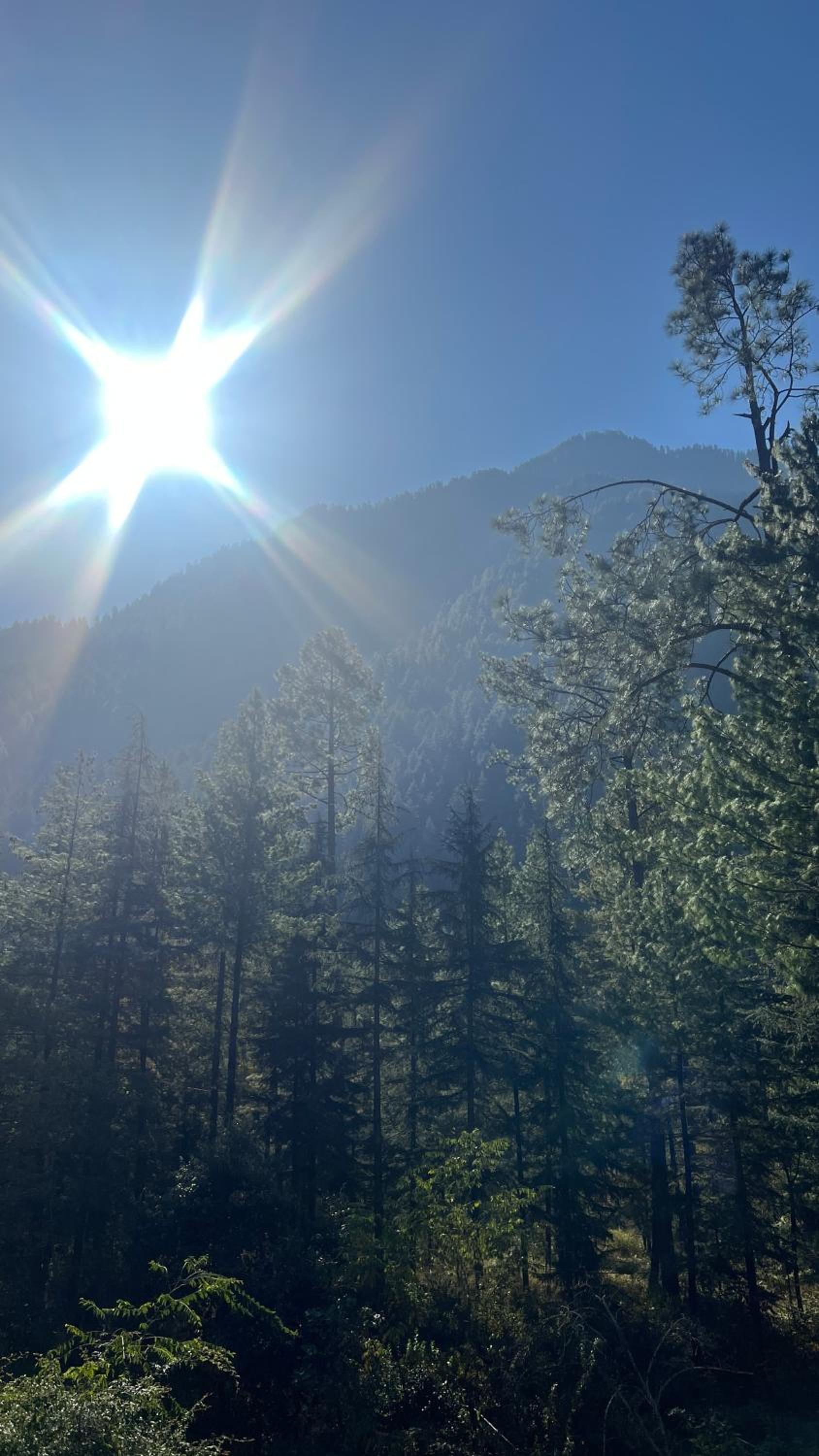 Nomaden Kasol