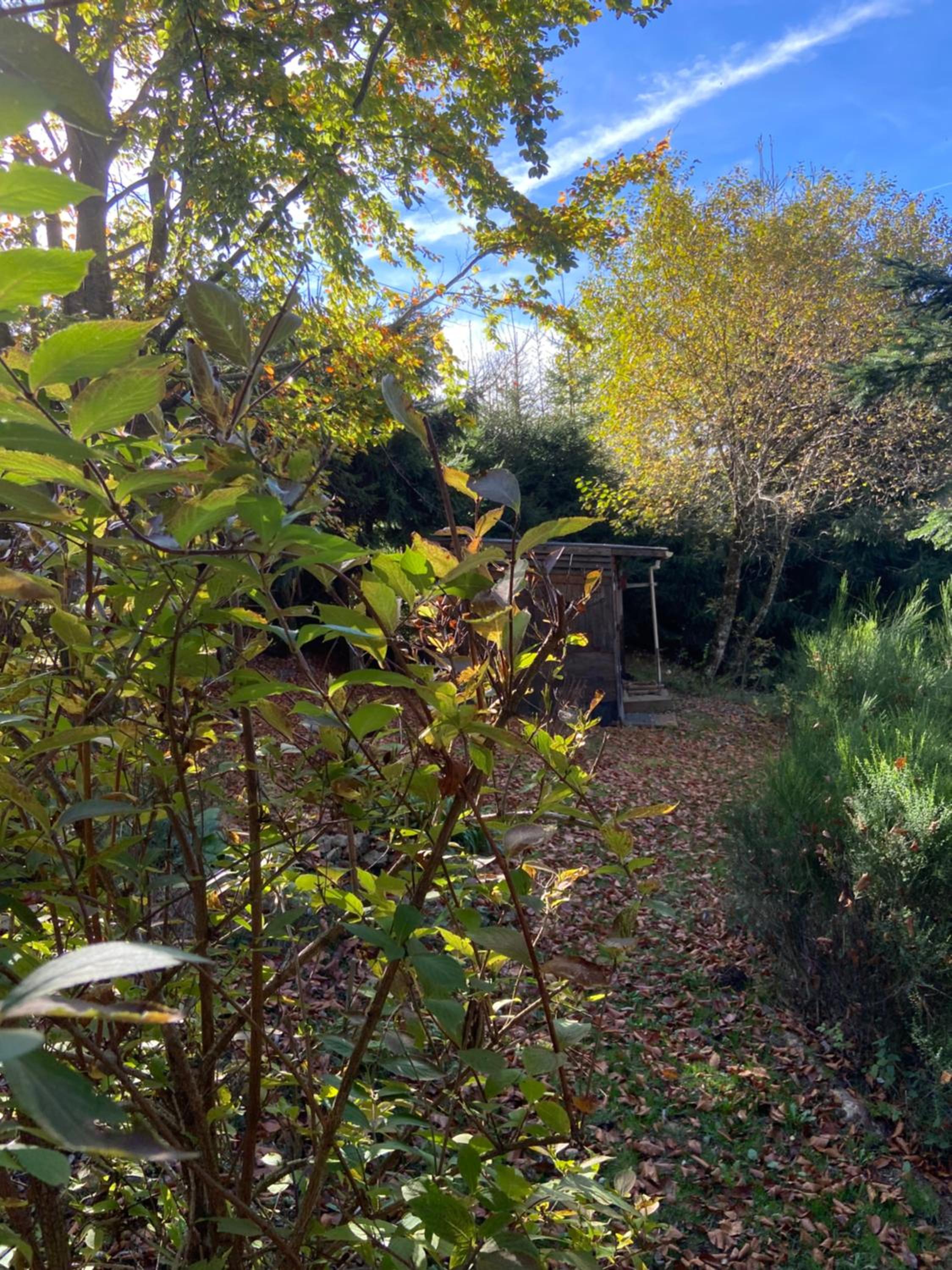 Chalet bois au calme, en lisière de forêt, balcons, sentiers balades Gérardmer & Alsace 