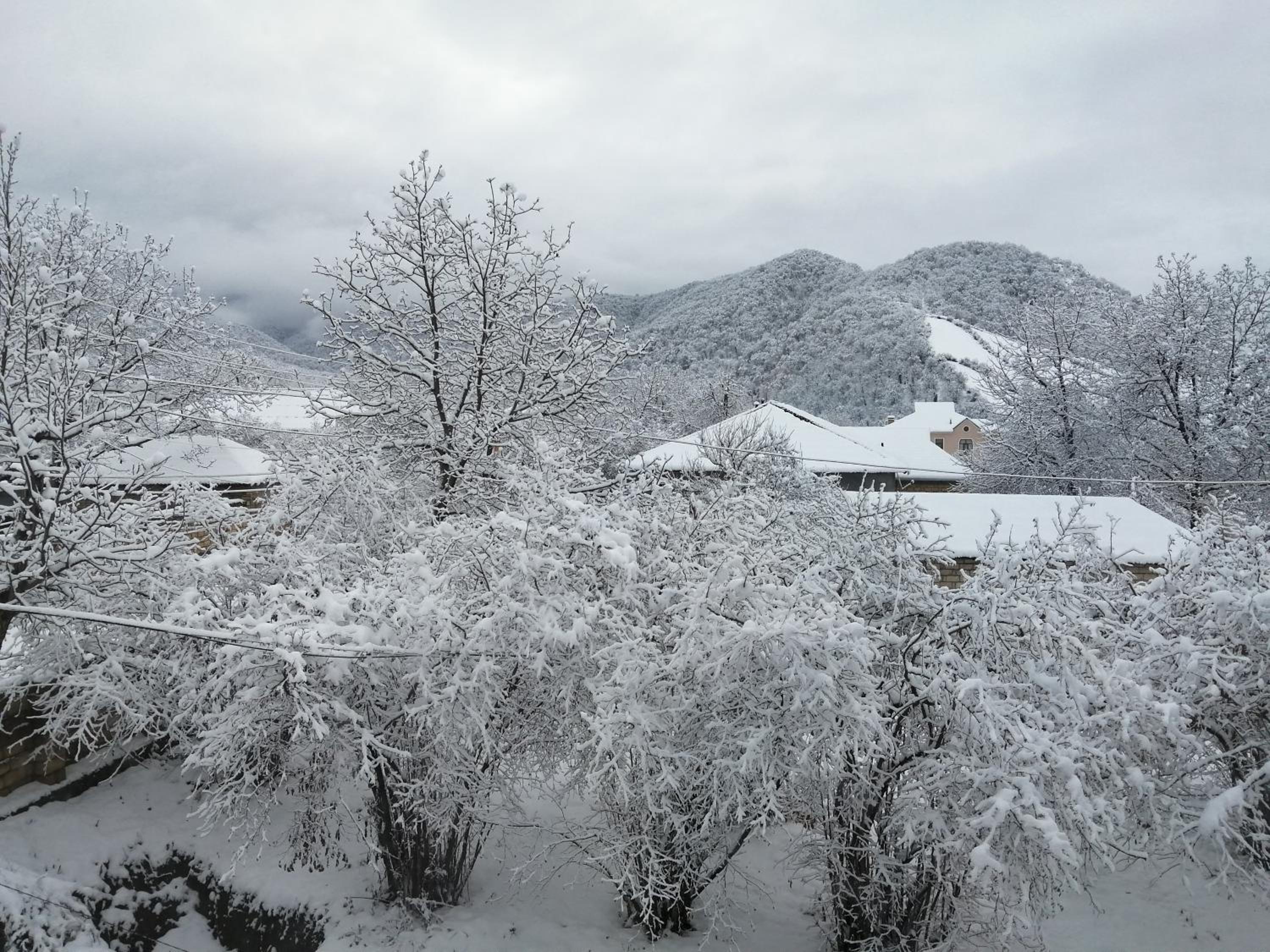 Gabala Dreams