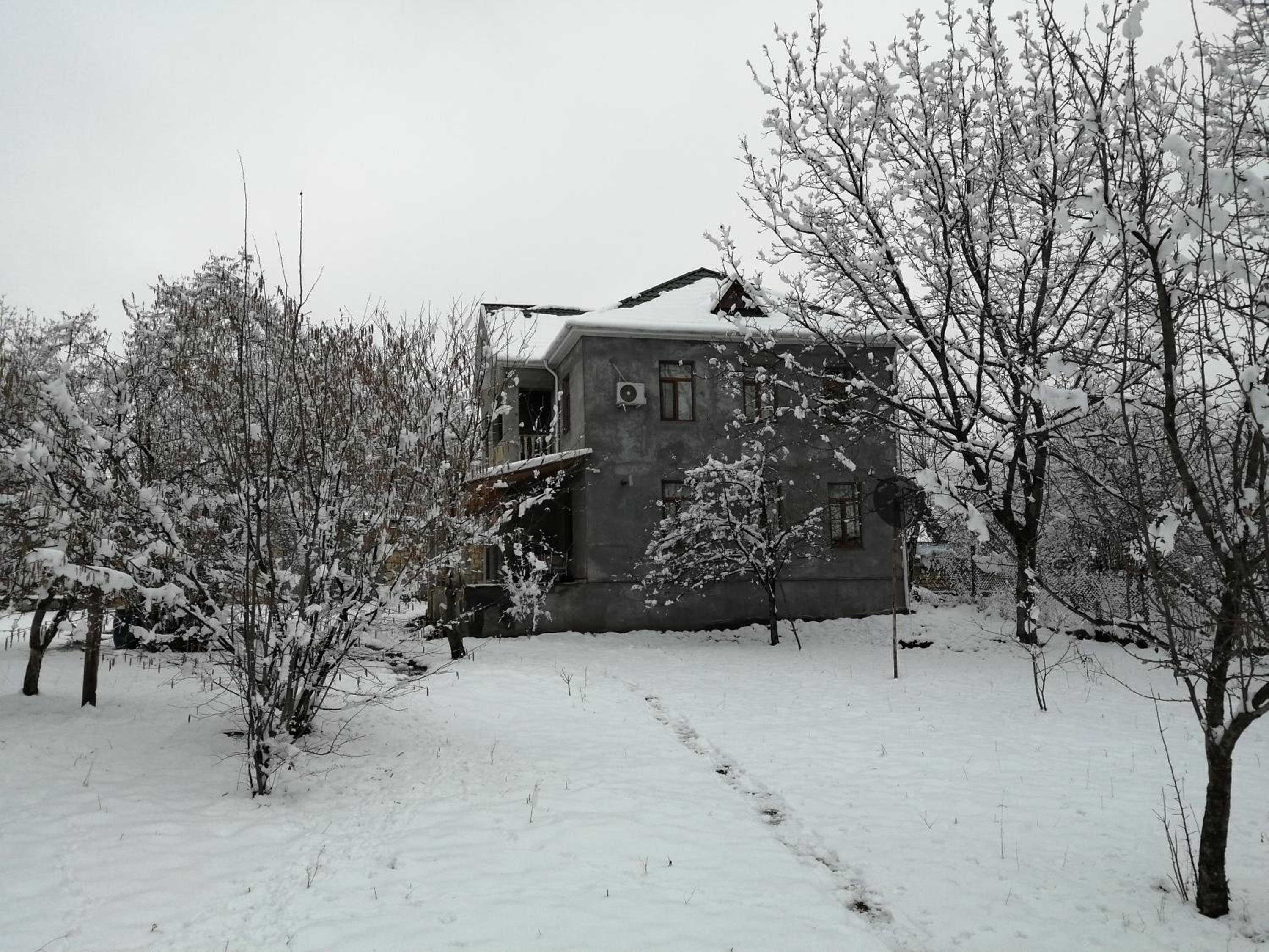 Gabala Dreams